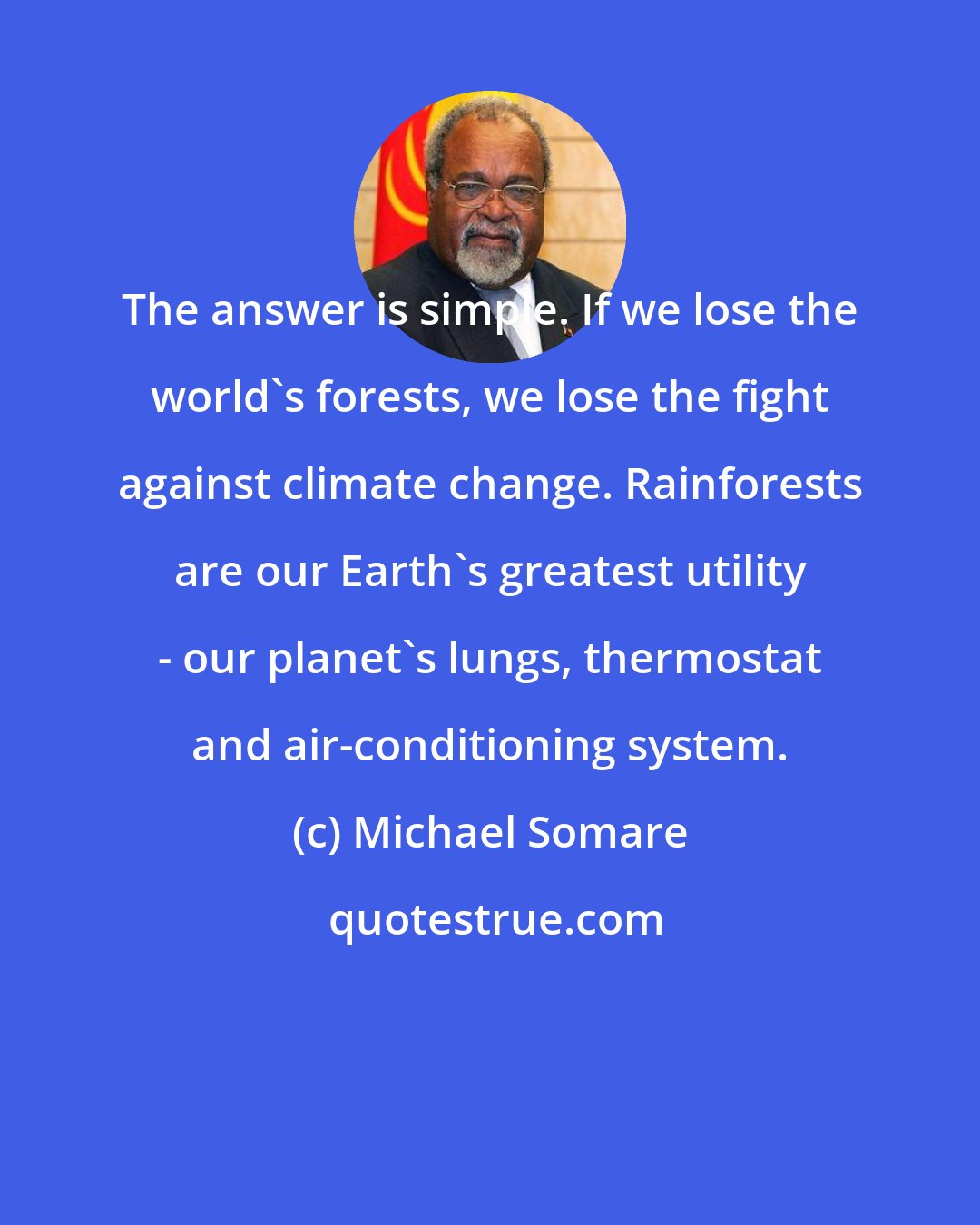 Michael Somare: The answer is simple. If we lose the world's forests, we lose the fight against climate change. Rainforests are our Earth's greatest utility - our planet's lungs, thermostat and air-conditioning system.