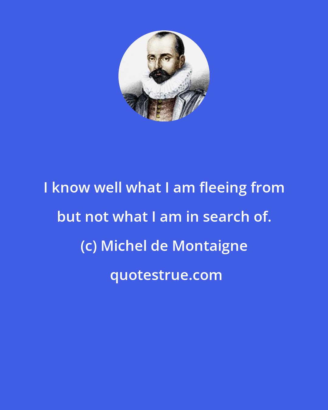 Michel de Montaigne: I know well what I am fleeing from but not what I am in search of.