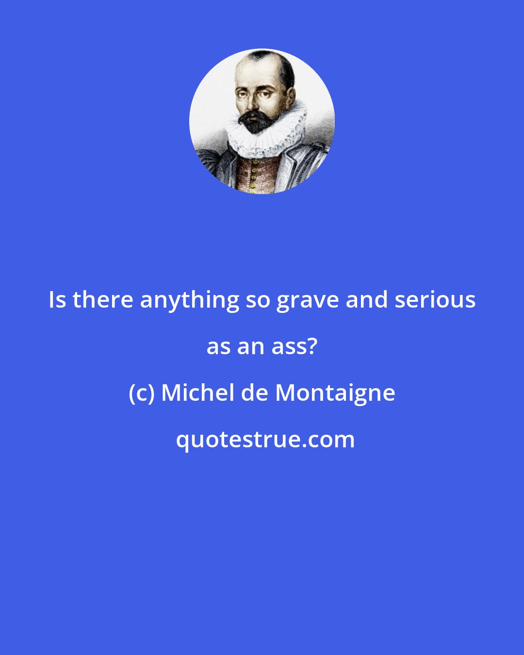 Michel de Montaigne: Is there anything so grave and serious as an ass?