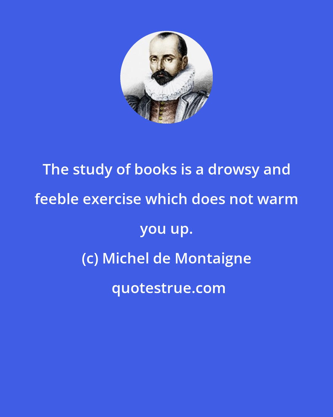 Michel de Montaigne: The study of books is a drowsy and feeble exercise which does not warm you up.