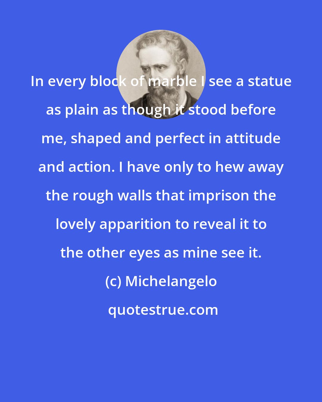 Michelangelo: In every block of marble I see a statue as plain as though it stood before me, shaped and perfect in attitude and action. I have only to hew away the rough walls that imprison the lovely apparition to reveal it to the other eyes as mine see it.