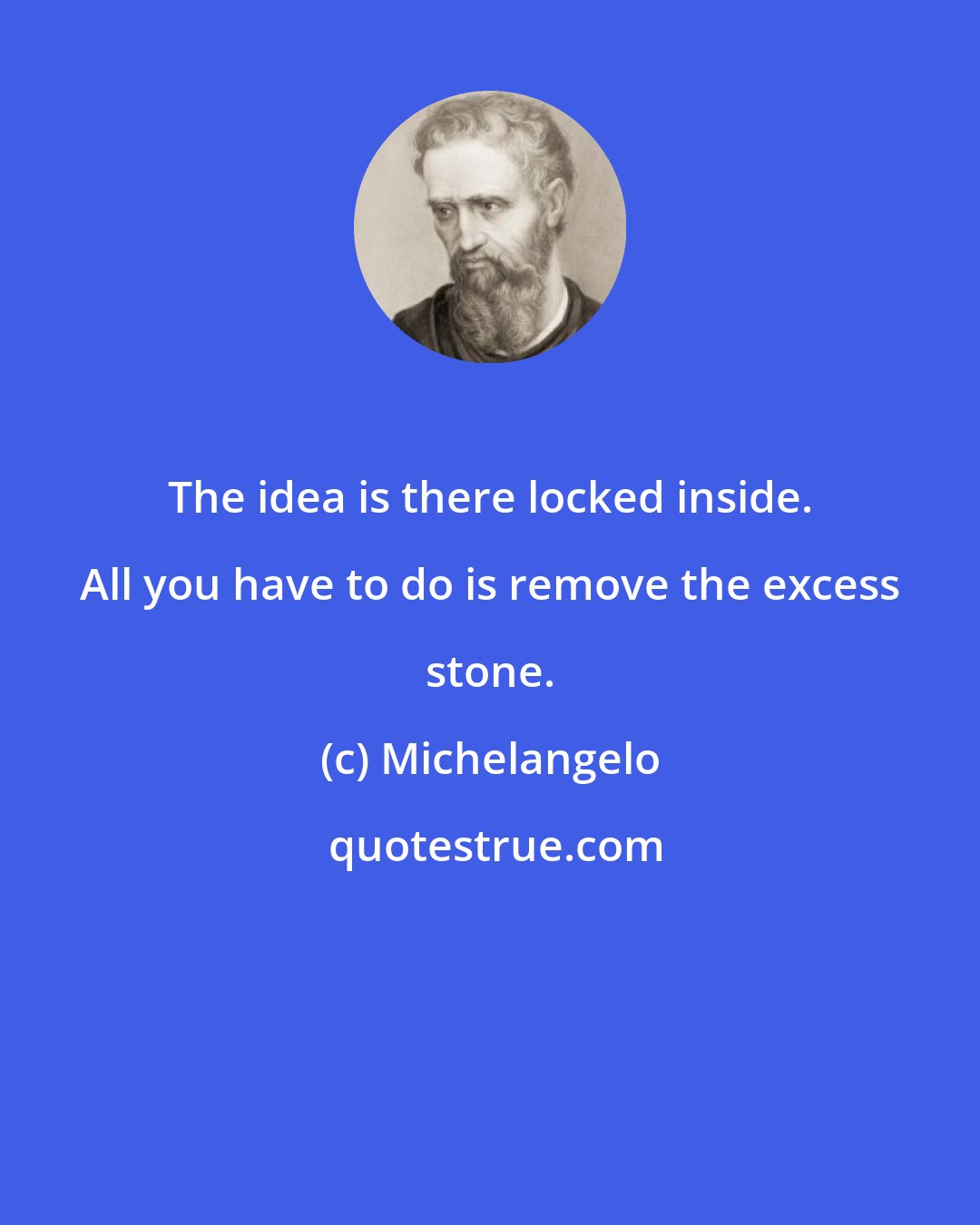 Michelangelo: The idea is there locked inside. All you have to do is remove the excess stone.