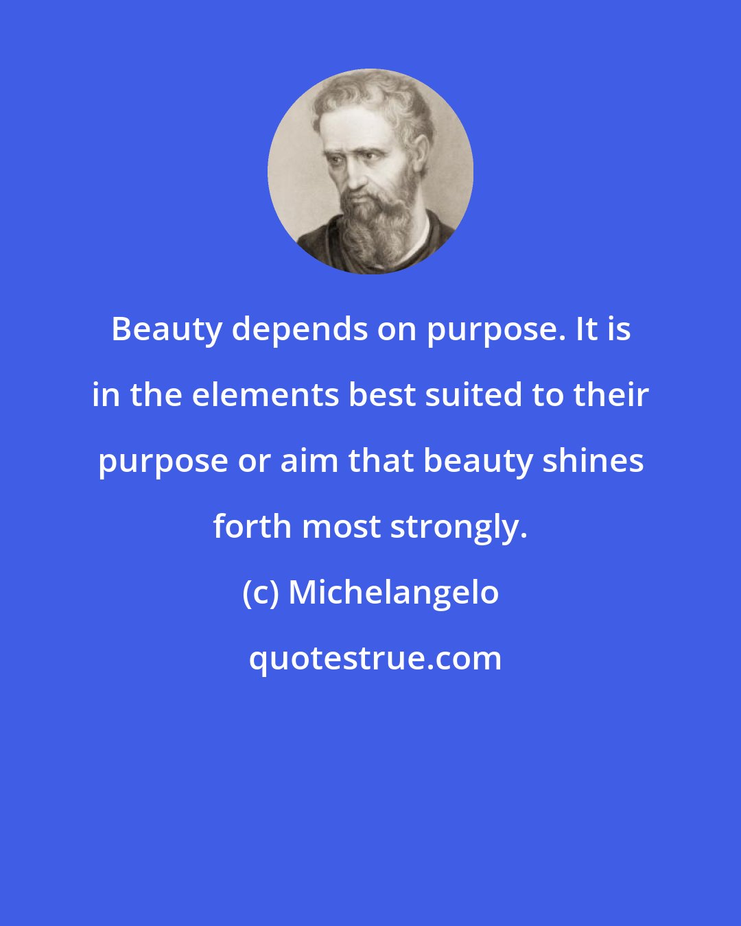 Michelangelo: Beauty depends on purpose. It is in the elements best suited to their purpose or aim that beauty shines forth most strongly.