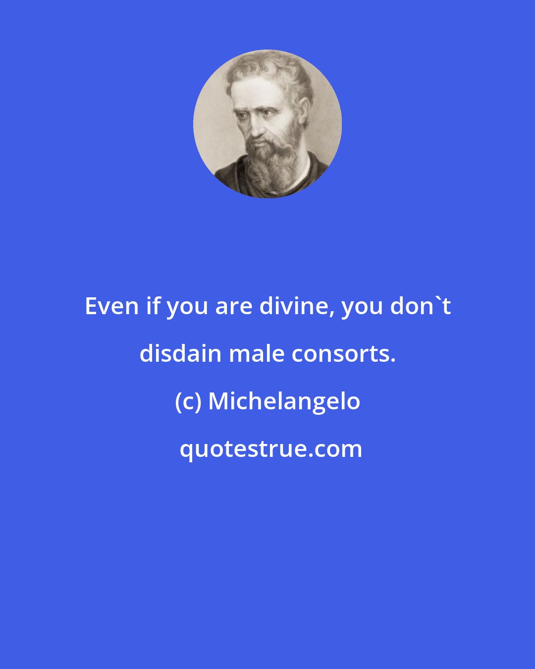 Michelangelo: Even if you are divine, you don't disdain male consorts.